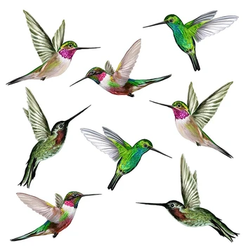 8 Больших красивых статических наклеек на окна с Колибри Hummingbird Наклейки на окна с защитой от столкновения с птицей Hummingbird